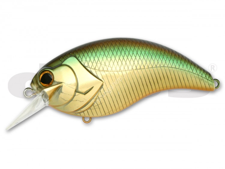 DEPS Evoke 4.0 06 Golden Silver