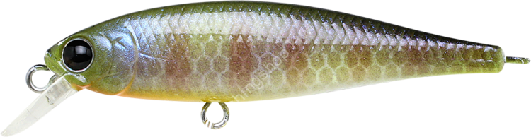 LUCKY CRAFT Pointer 48SP #BE Gill