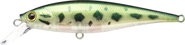 LUCKY CRAFT Pointer 78SP #Baby Bass