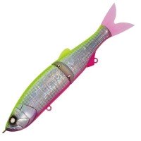 WHIPLASH FACTORY Swayword -16FLW #SYS13MGG Chart Back / Pink Belly