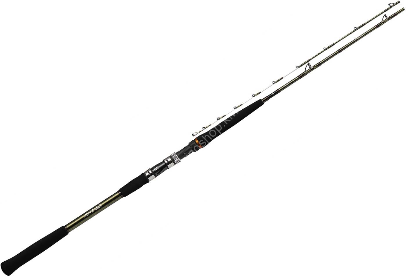 DAIWA Leading Nerai MH-200・J Rods buy at Fishingshop.kiwi