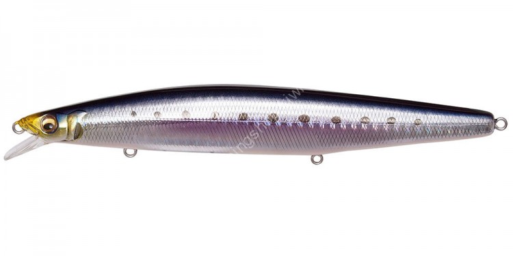 MEGABASS Marine Gang Cookai 140S GG Savure