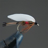 VALLEY HILL Complete Wet Fly W6 Royal Coachman
