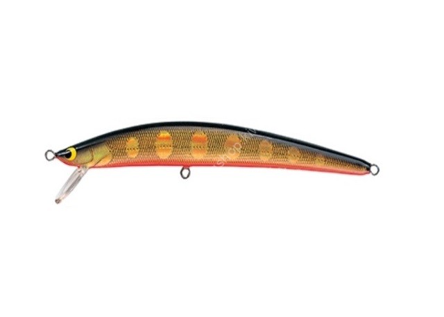 TACKLE HOUSE Twinkle Factory TWF60 #F-5 Gold/Black/Orange Belly
