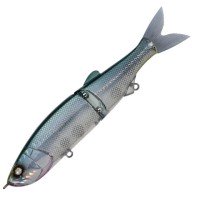 WHIPLASH FACTORY Swayword -16FLW #SYS19RHG Trans Deep Sea Blue R