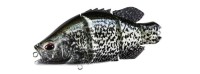 DUO Realis Snappy Crappie #ACC3533 Black Crappie