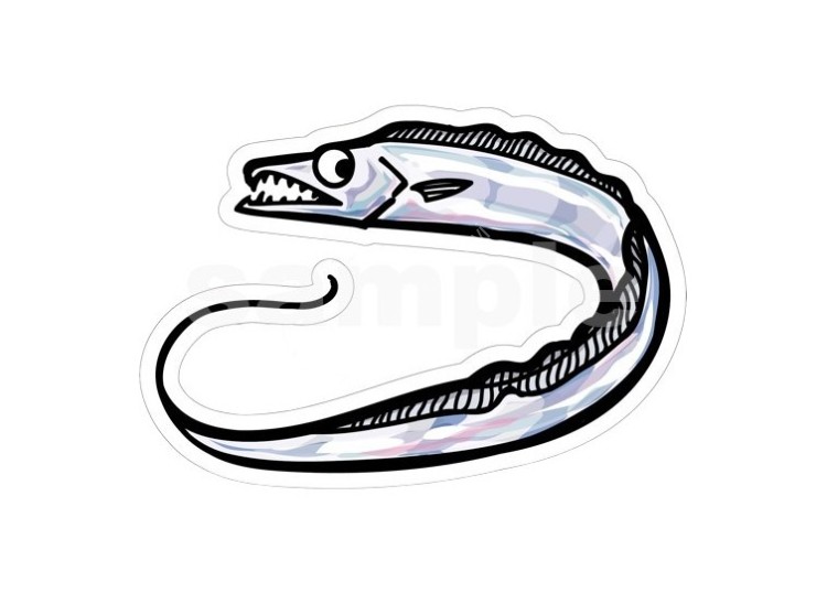 OTHER BRANDS HISAO DESIGN Hairtail Sticker