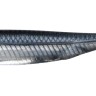 FISH ARROW Flash-J Shad SW 1 #105 Sardine / Silver