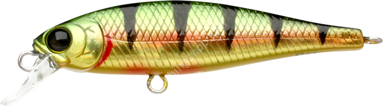 LUCKY CRAFT Pointer 48SP #Aurora Gold Northern Perch