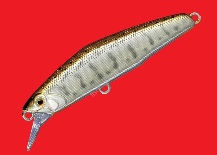 SMITH D-Coax 65 # 06 Yamame Haku