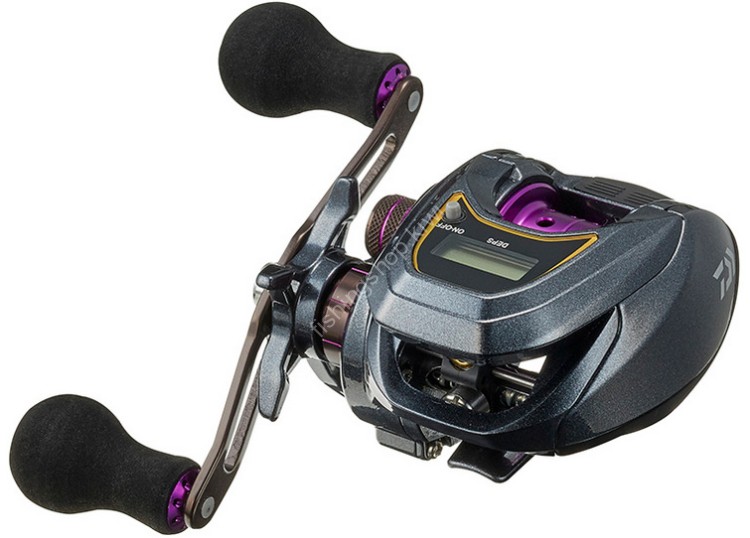 DAIWA Light SW X IC