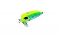 DAYSPROUT Jeffrey J-20 CHART FRESHWATER MINNOW OIKAWA