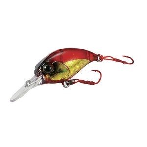 DUO Tetra Works KuraKura # Gold Earthworm