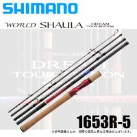 SHIMANO 20 World Shaula DTE 1653R-5