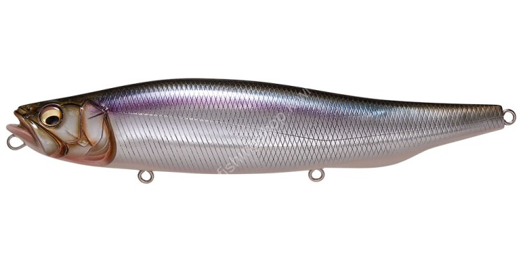 MEGABASS Megadog #Live Shiner