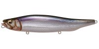 MEGABASS Megadog #Live Shiner