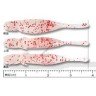 ECOGEAR Mebaru Shokunin Minnow SS #288