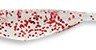 ECOGEAR Mebaru Shokunin Minnow SS #288