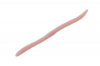 JACKALL Flick Shake 5.8" Light Earthworm