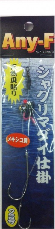 FUJIWARA Shakuri Madai Shikake No.1.5 #Natural Shell