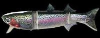KASUMI DESIGN Borakon 150-HF KDW01 Rainbow Trout