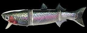 KASUMI DESIGN Borakon 150-HF KDW01 Rainbow Trout