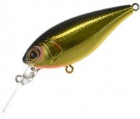 BERKLEY Dex SC63F # KKR Kinkuro