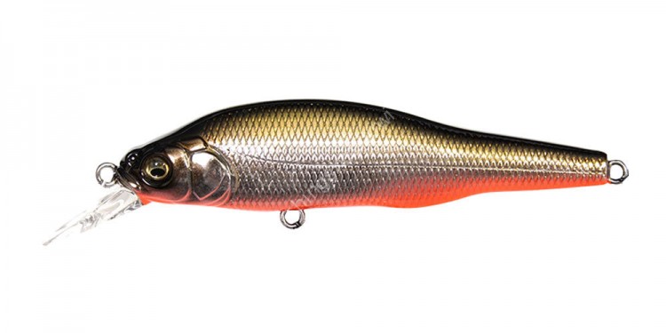 MEGABASS X-80SW #M Katakuchi RB