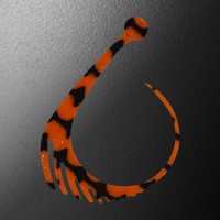 MATSUOKA SPECIAL Giza Bite Super #Marker Zebra Orange