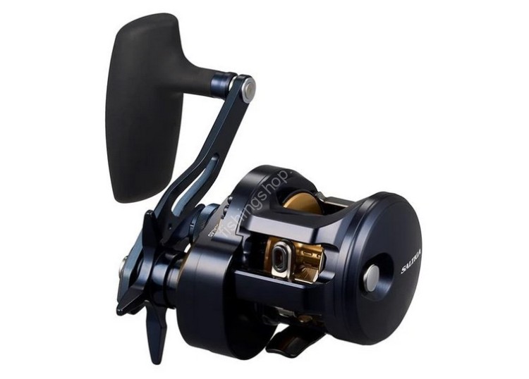 DAIWA 25 Saltiga 300H