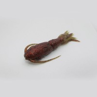 SIGNAL Mamba Slim 3.8" Crayfish / Cinnamon Green G