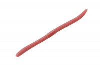 JACKALL Flick Shake 5.8" Pinky Earthworm
