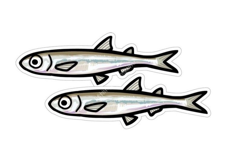 OTHER BRANDS HISAO DESIGN Wakasagi Sticker