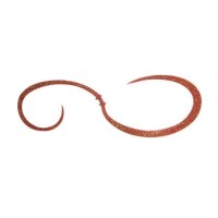 RISE JAPAN Namidama Necktie Choudo Yo Curly #NC08 Cola