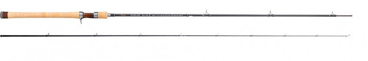 TENRYU Rayz Silver Scale RZ842B-MMH