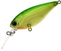 BERKLEY Dex SC63F # LC Lime Chartreuse
