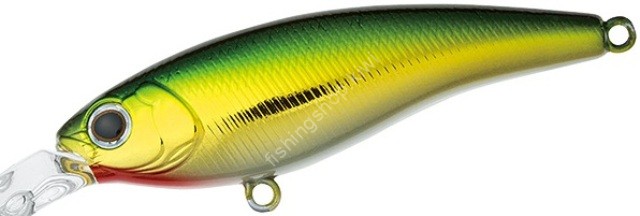 DAIWA Steez Shad 54SP MR # Green Gold