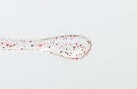 ISSEI Kaitaro Spaterra 3" #002 Clear Red Flakes