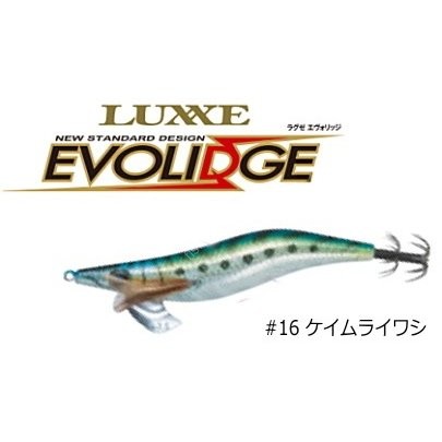 GAMAKATSU EVOLIDGE SHALLOW 3.5 No.16 Keimura Iwashi