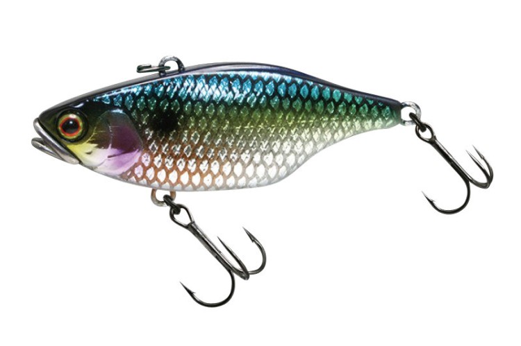 JACKALL TN70 Full Tungsten Uroko NL SS Shad