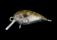 OFFICE EUCALYPTUS Esa 25.6mm 0.6g #15 Verde UV