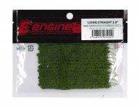 ENGINE Living Straight 3.8 #14 Watermelon P
