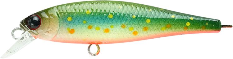 LUCKY CRAFT Pointer 48S #Brook Trout