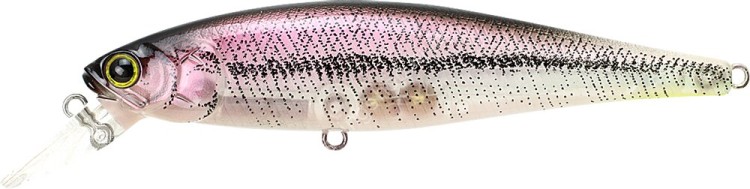 LUCKY CRAFT Pointer 100SP #Live North Lake Wakasagi