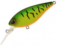 BERKLEY Dex SC63F # MTGR Matte Tiger