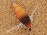 REPLY Pocket Moth #Semi