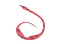 START Silicone Necktie Magical Jr. #30 红色斑马 (3个)