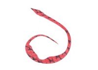 START Silicone Necktie Magical Jr. #30 Red Zebra (3 pcs)