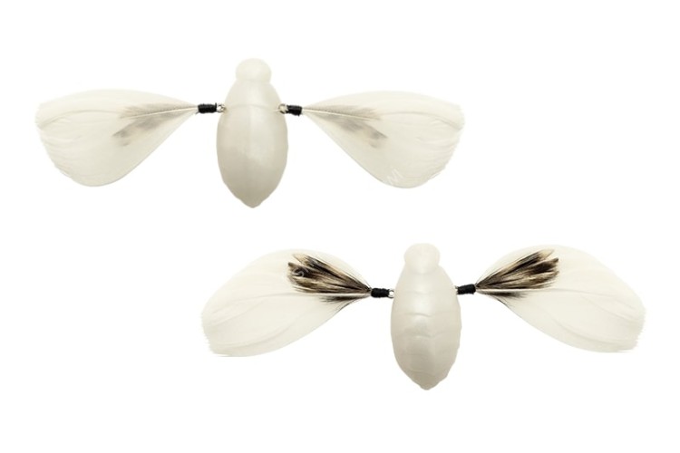 JACKALL Need Cicada #Super White