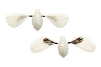JACKALL Need Cicada #Super White